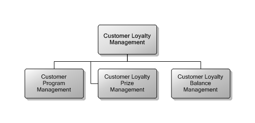 5.21 Customer Loyalty Management