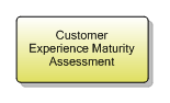 1.3.2.1 Customer Experience Maturity Assessment