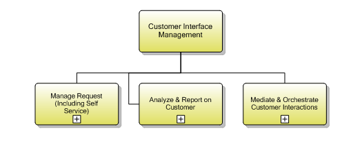 1.3.5.9 Customer Interface Management