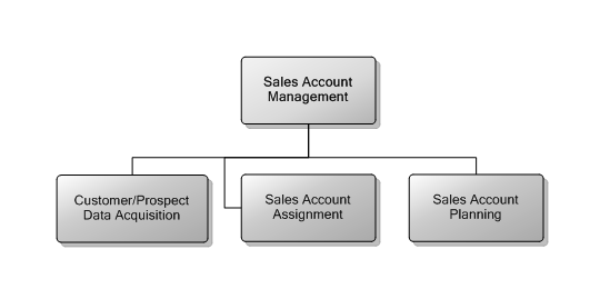 3.11 Sales Account Management