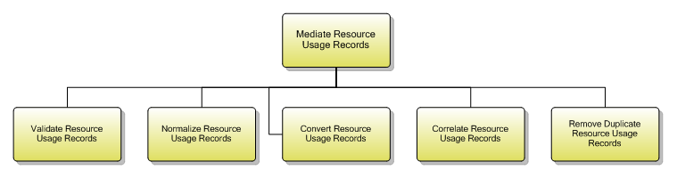 1.5.10.1 Mediate Resource Usage Records
