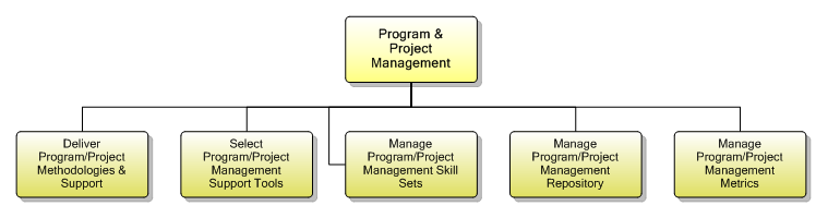 1.7.3.3 Program & Project Management