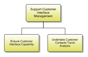 1.3.1.1 Support Customer Interface Management