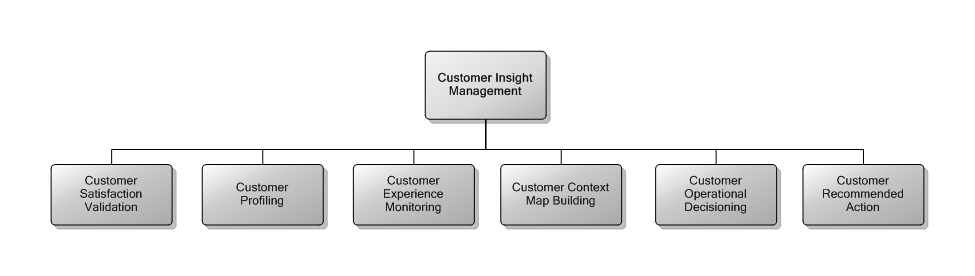5.5 Customer Insight Management
