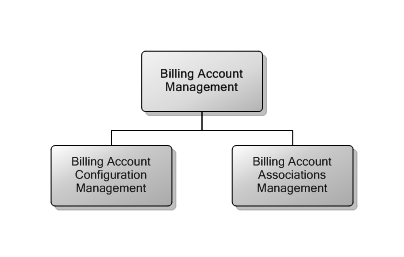 5.13 Billing Account Management