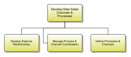 1.1.5.3 Develop New Sales Channels & Processes